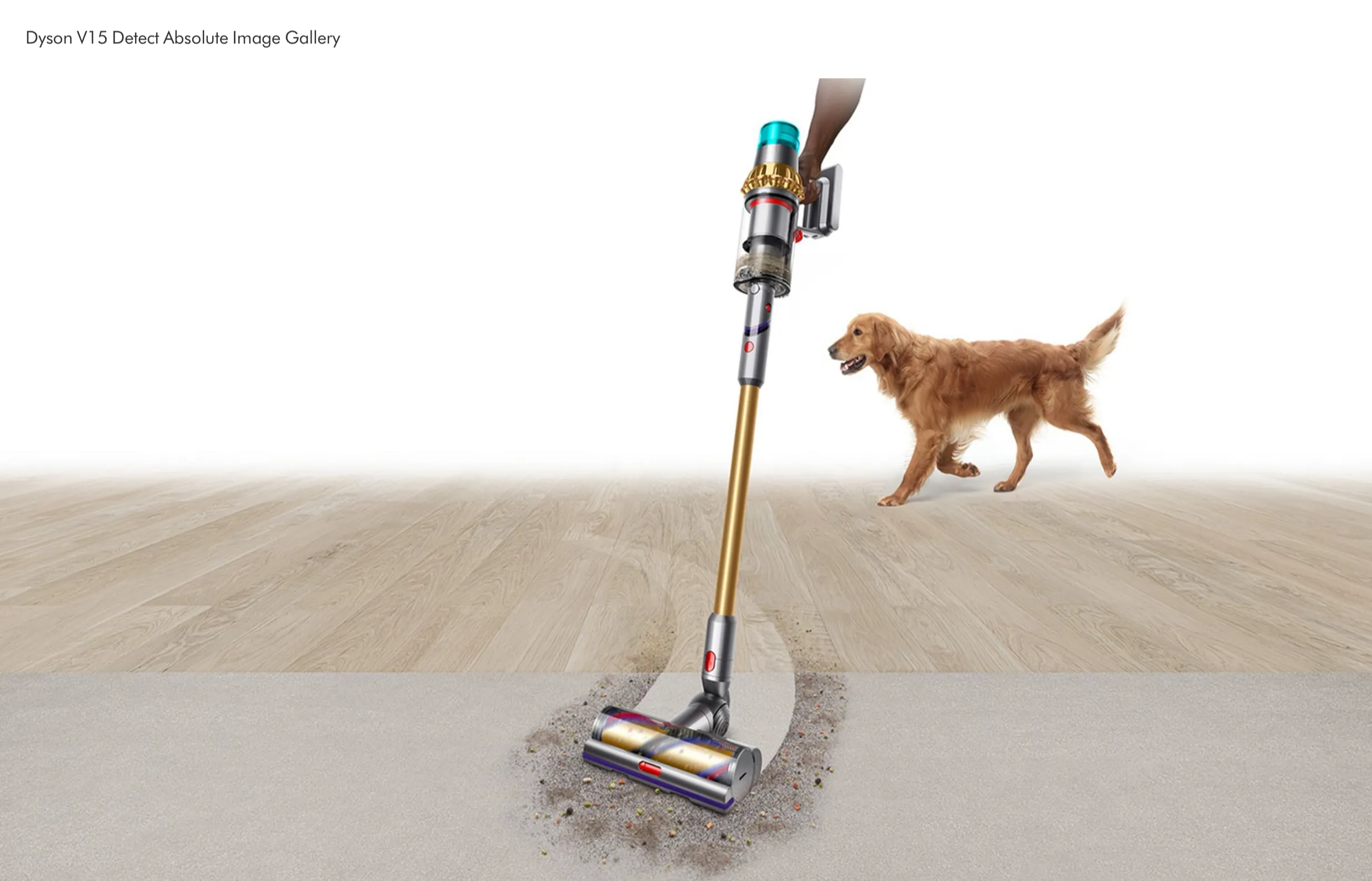 Dyson V15 Detect Absolute vacuum