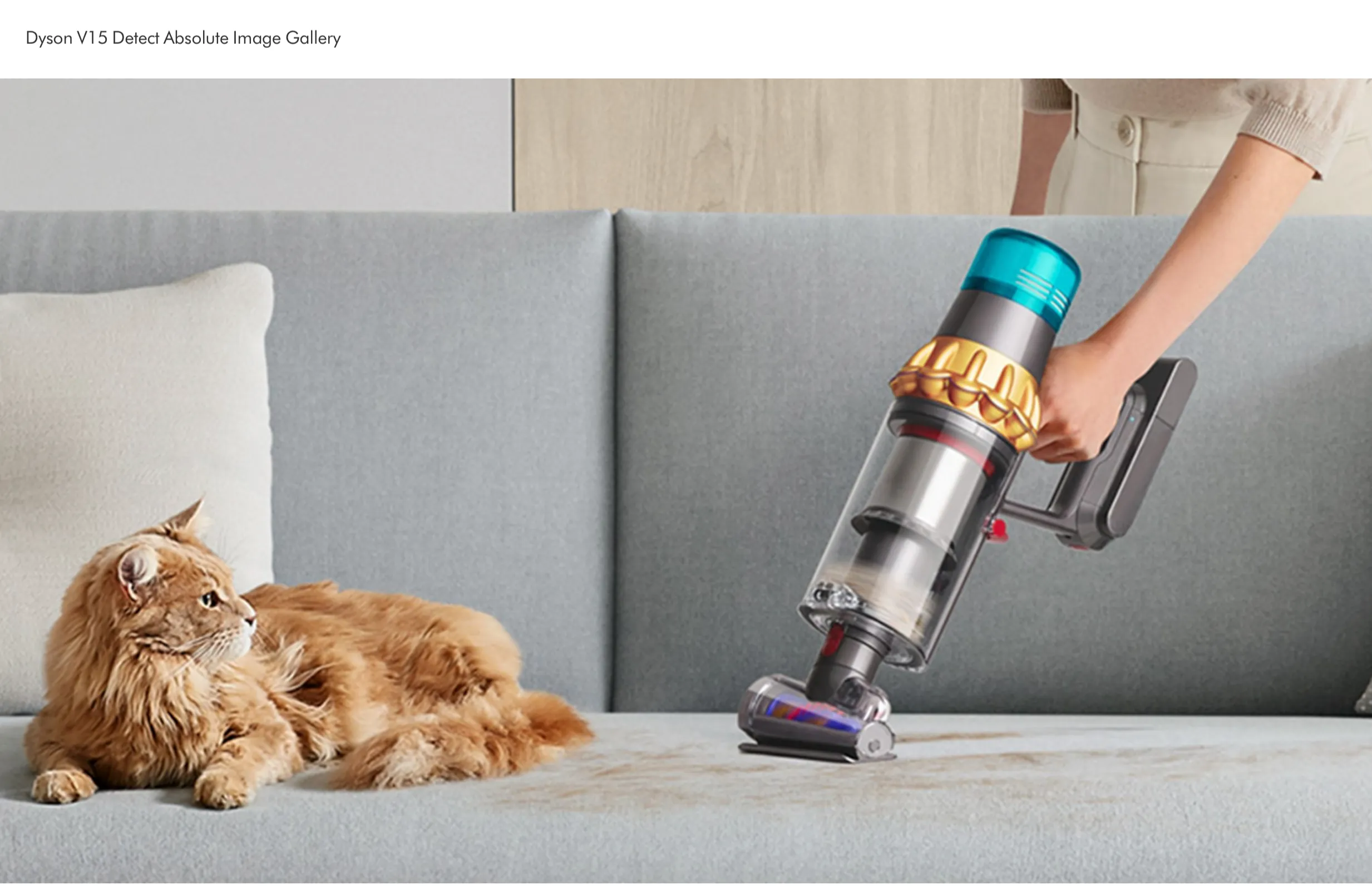 Dyson V15 Detect Absolute vacuum