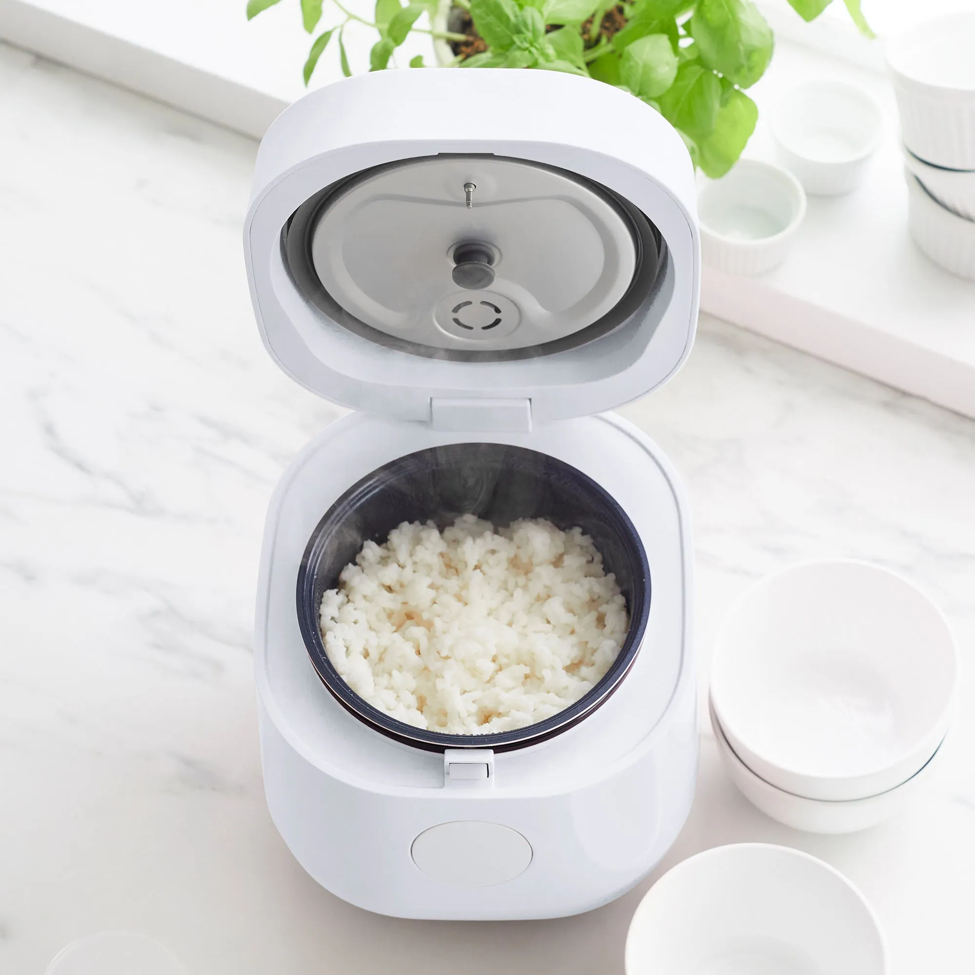 Go Grains Rice Cooker