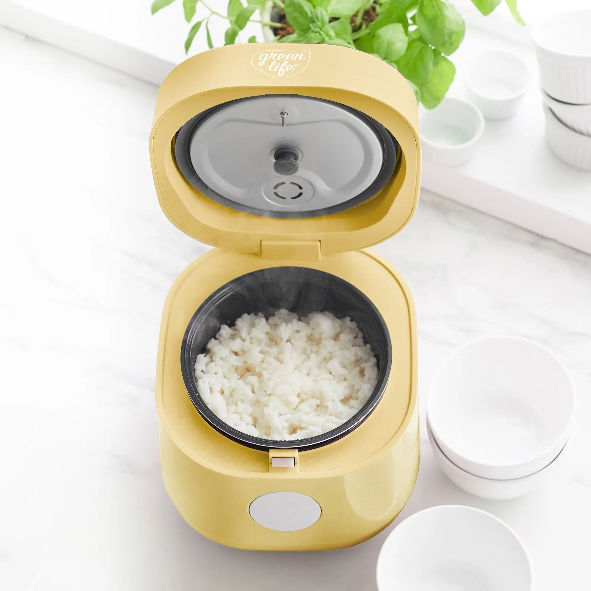 Go Grains Rice Cooker