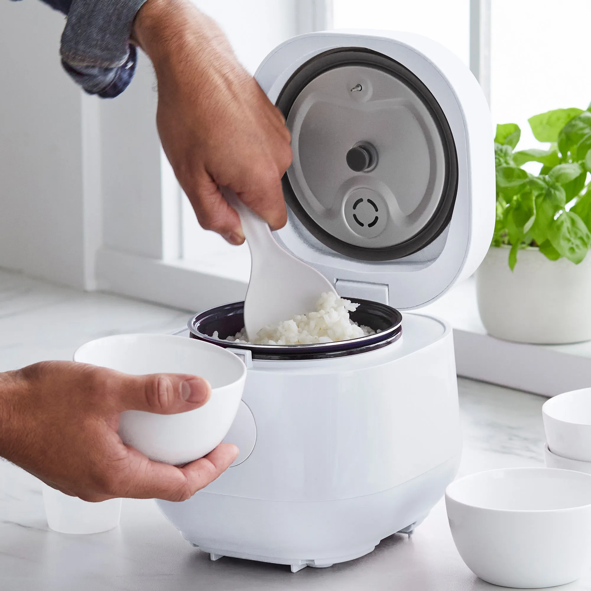 Go Grains Rice Cooker