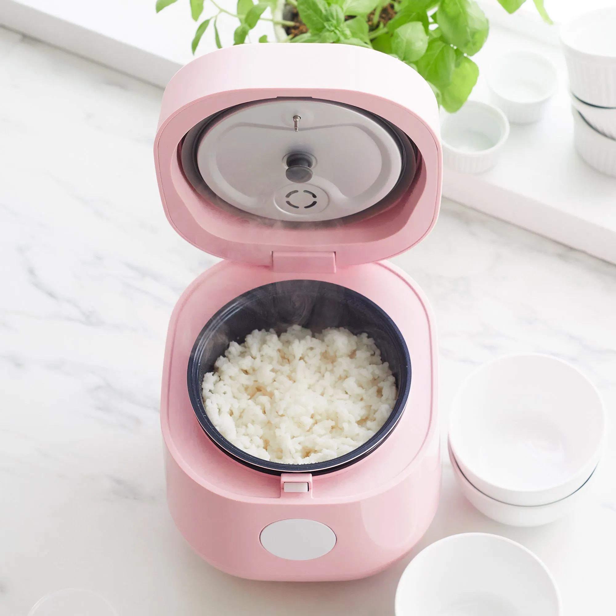 Go Grains Rice Cooker