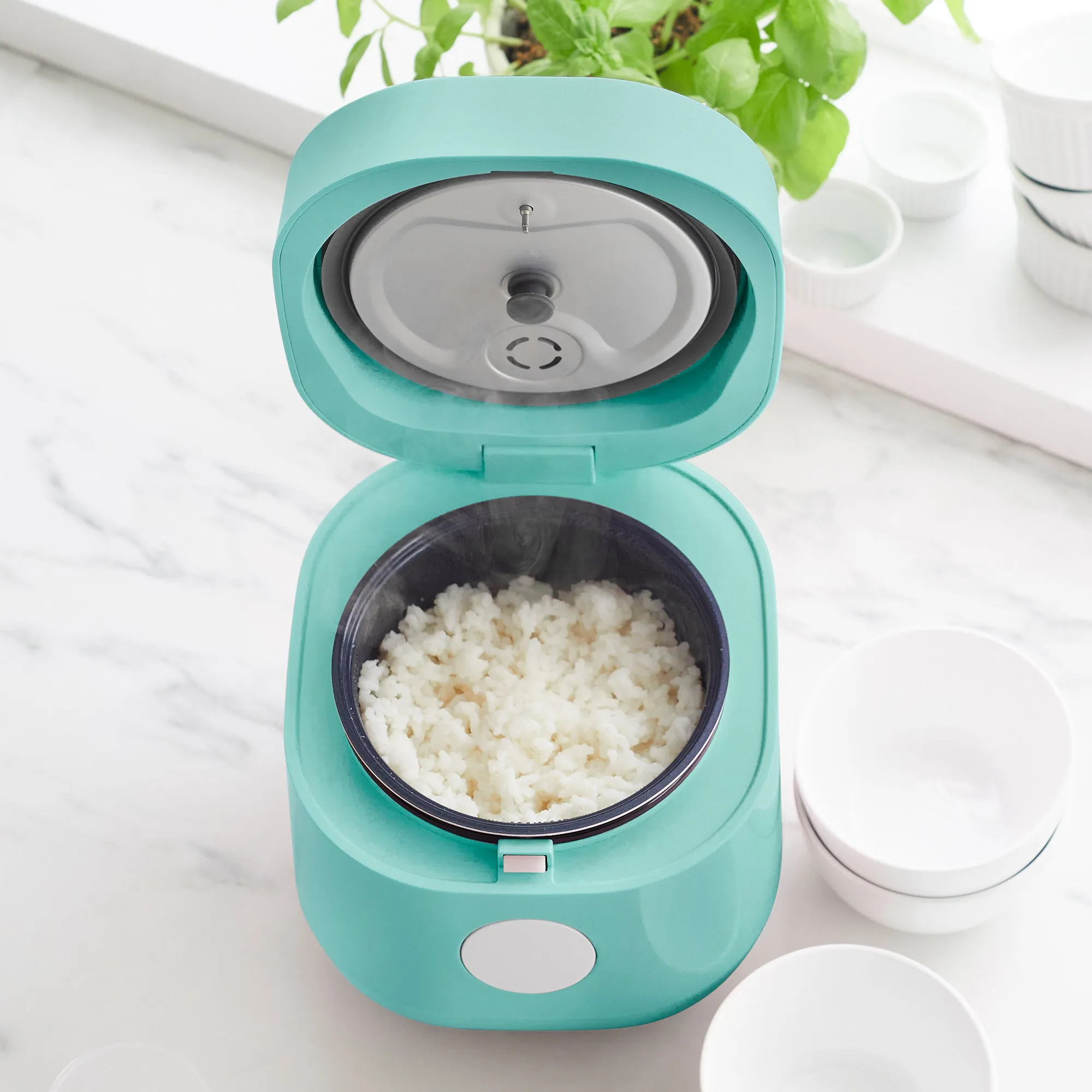 Go Grains Rice Cooker