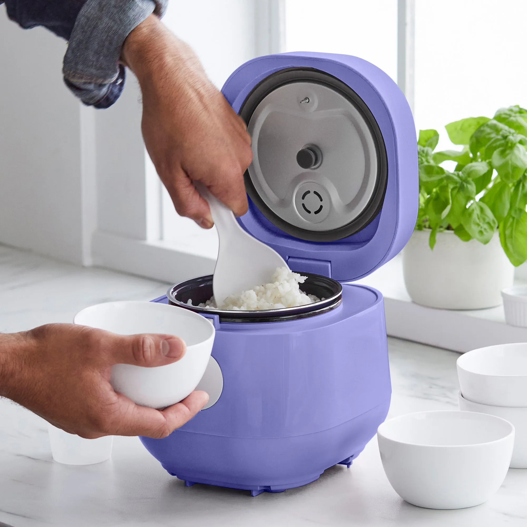 Go Grains Rice Cooker