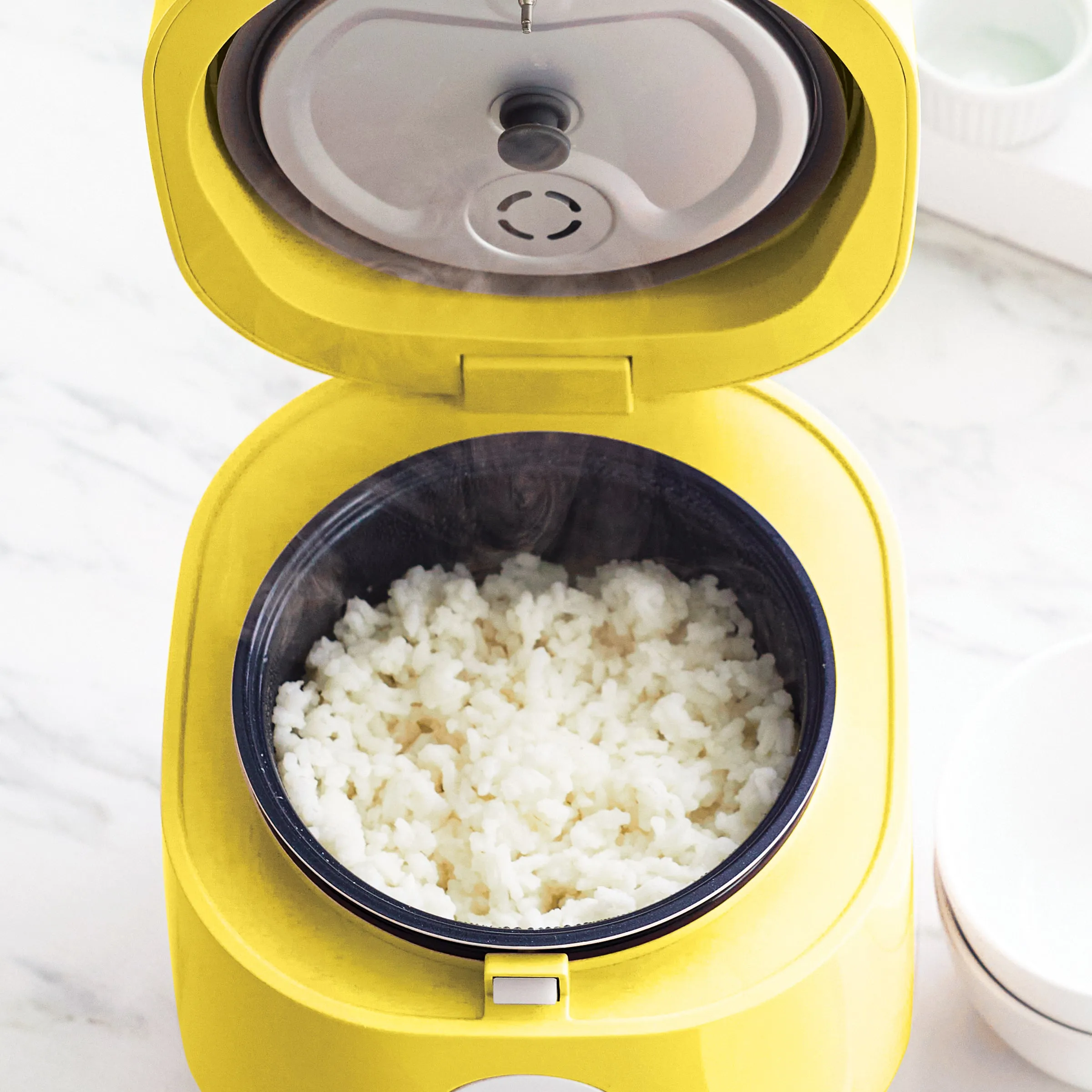 Go Grains Rice Cooker