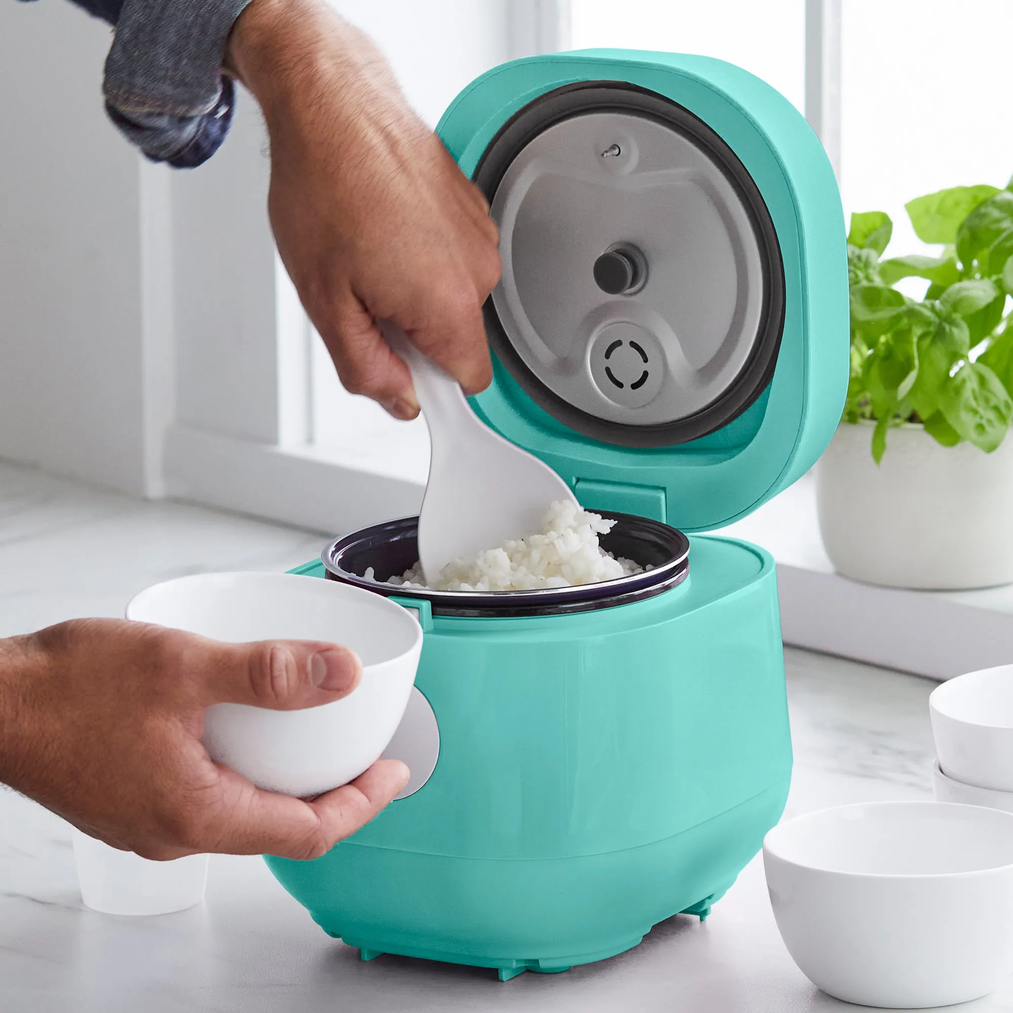 Go Grains Rice Cooker