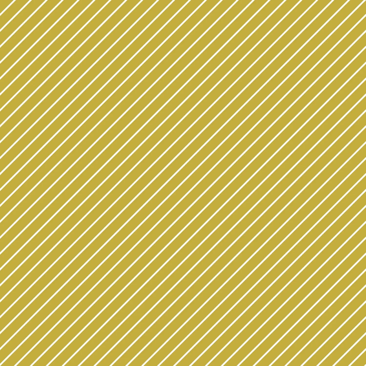 HIBISCUS Stripes Citron - SALE $17.00 p/m