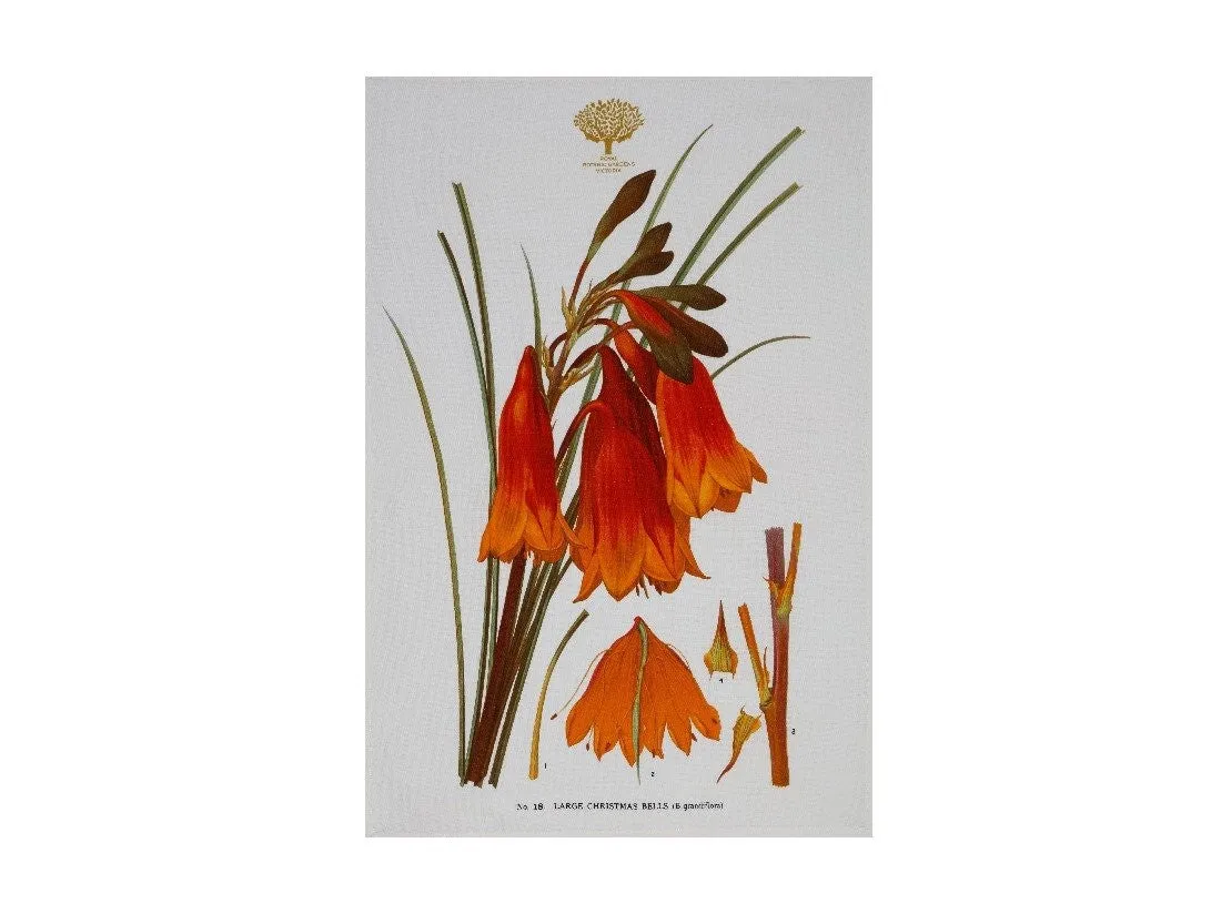 Maxwell & Williams Royal Botanic Garden Tea Towel 50x70cm Christmas Bells