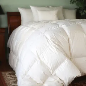 Natural Nights 600 Winter Weight Down Comforter-Queen (90" x 90")