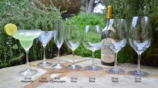 Non-Breakable Tritan White Wine Glasses