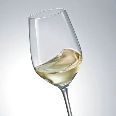 Schott Zwiesel Vina White Wine Glass - Set of 6