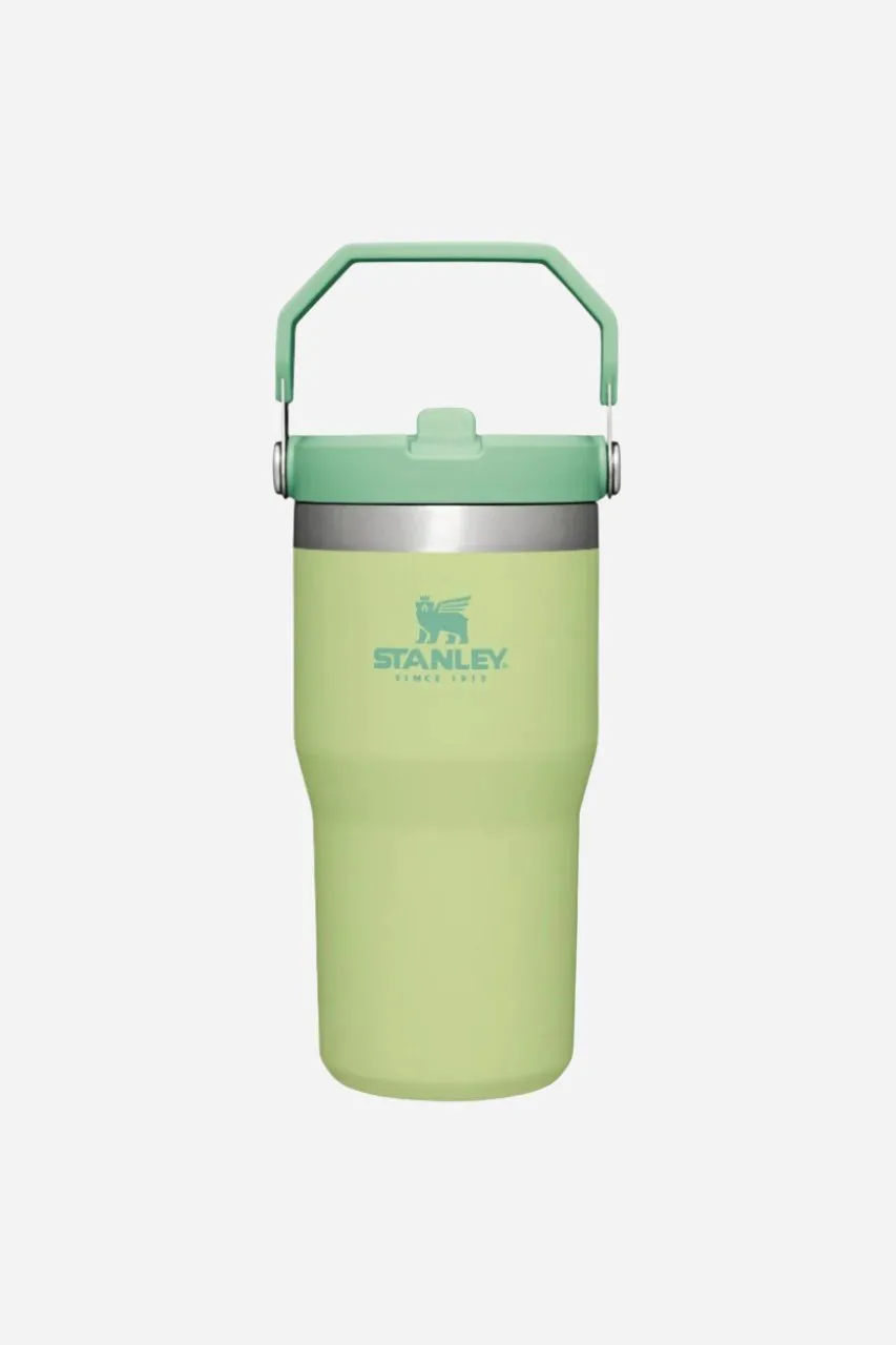 Stanley IceFlow™ Flip Straw Tumbler | 20oz | 30oz