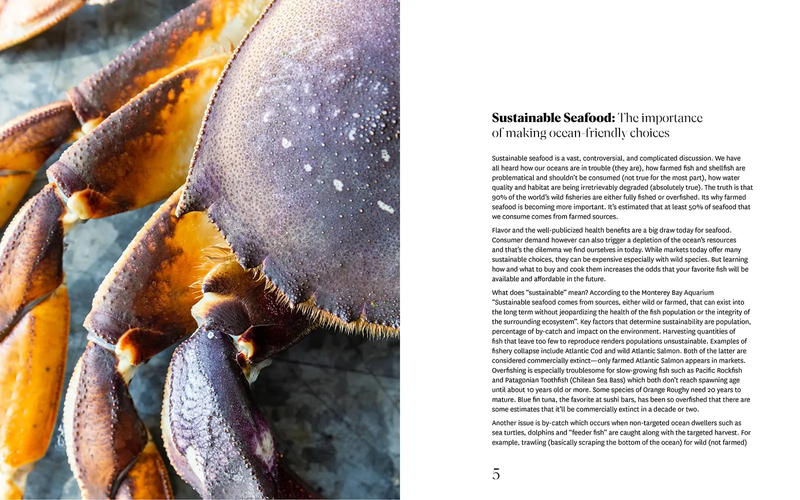 The Hog Island Book of Fish & Seafood: Culinary Treasures from Our Waters (John Ash)