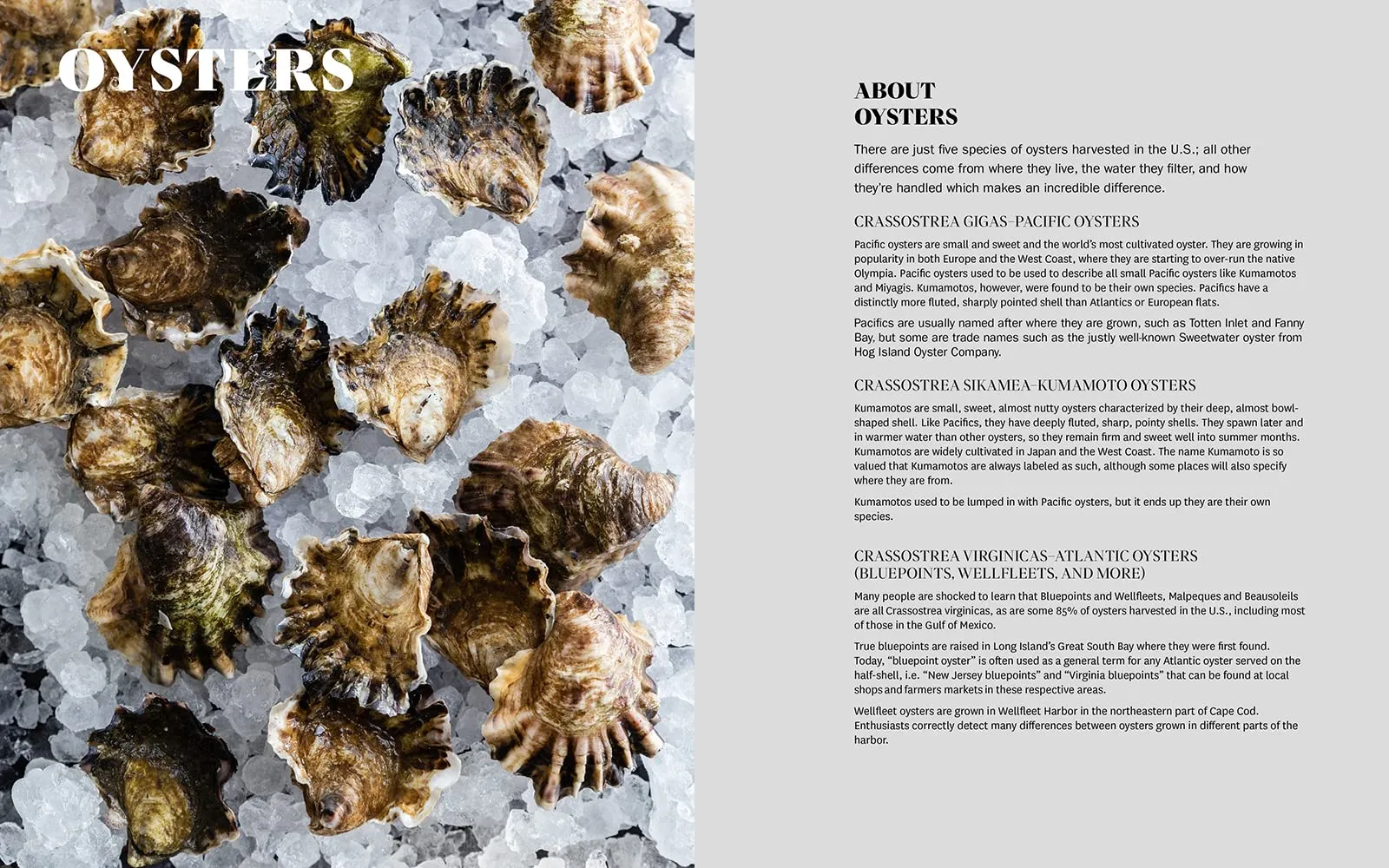 The Hog Island Book of Fish & Seafood: Culinary Treasures from Our Waters (John Ash)